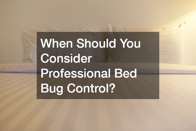 When Should You Consider Professional Bed Bug Control?